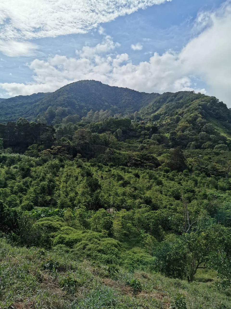 Paisaje de Boquete, Chiriquí